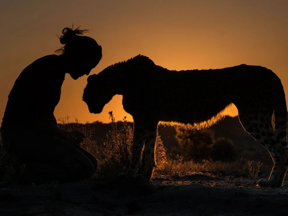 Photo credit: Terry Allen via National Geographic