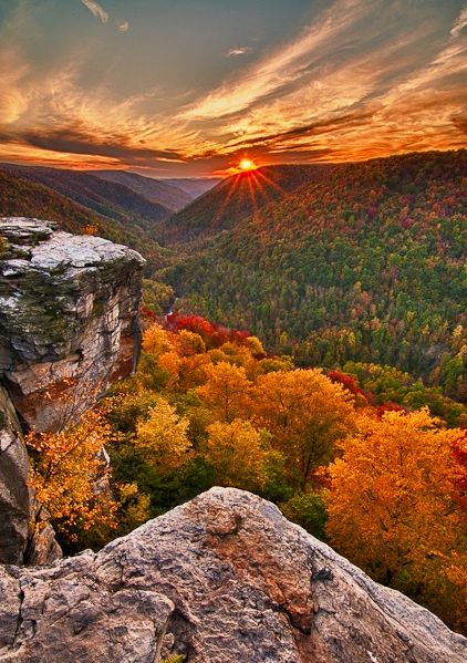 Blackwater Falls State Park: Photo credit: RoadTrippers.com