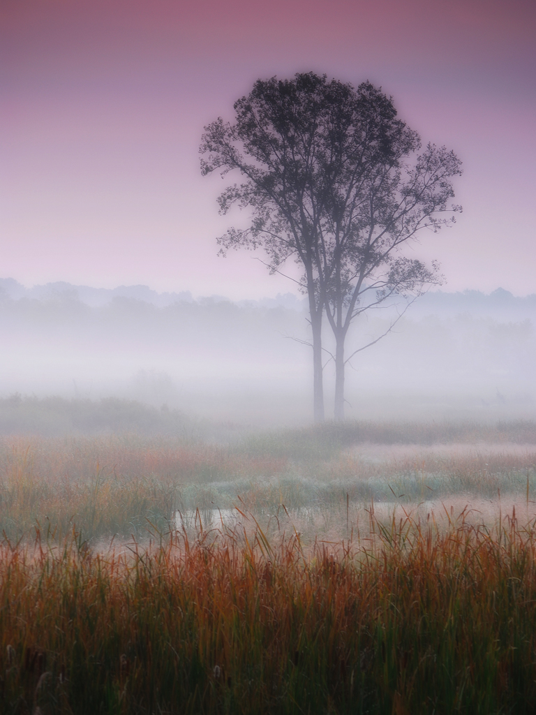 Photo credit: James Jordan, Flickr