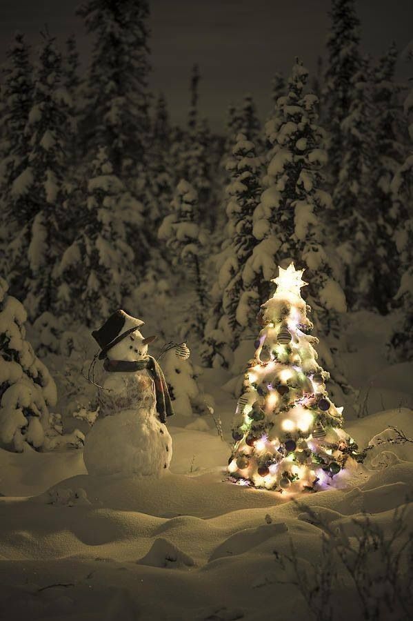 Photo credit: Christmas 4U