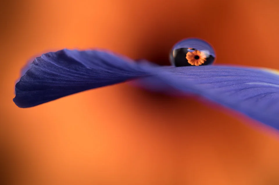 Photo credit: Achille Salem via EyeEm