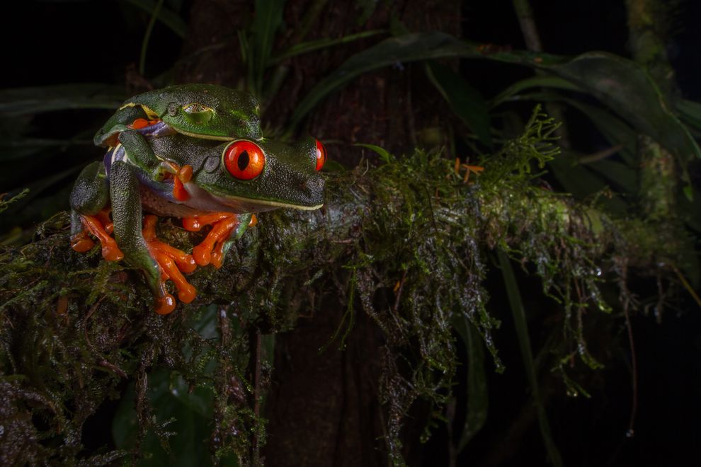 Photo credit: Jennifer Guyton via Smithsonian.com
