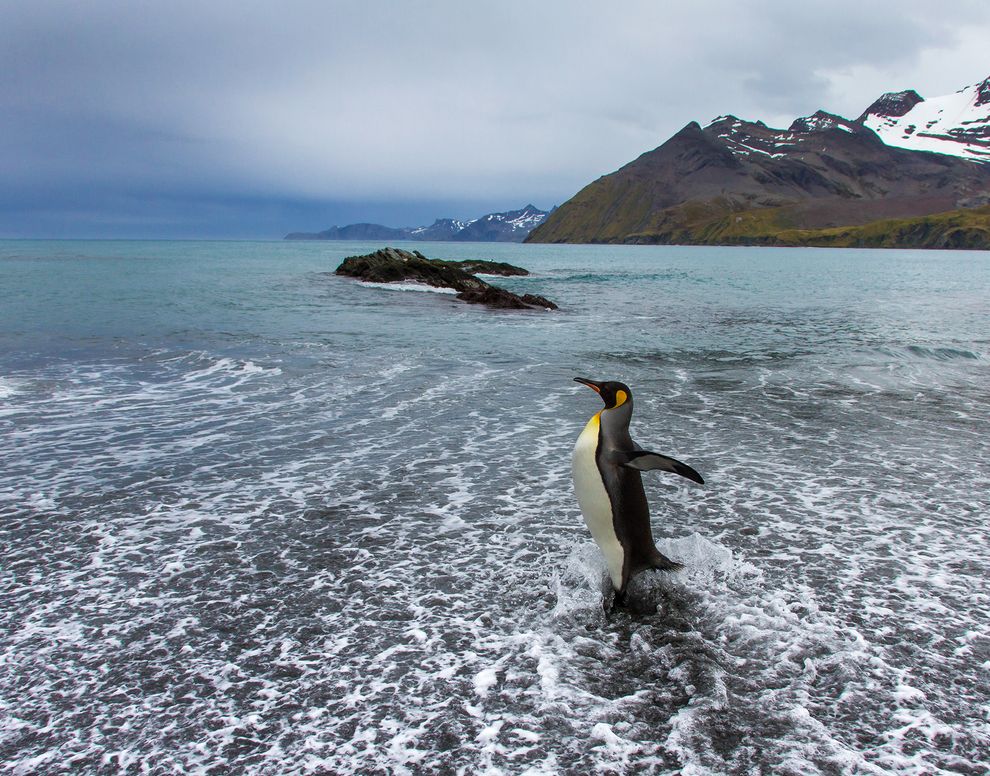 Photo credit: Beverly Houwing via Smithsonian.com