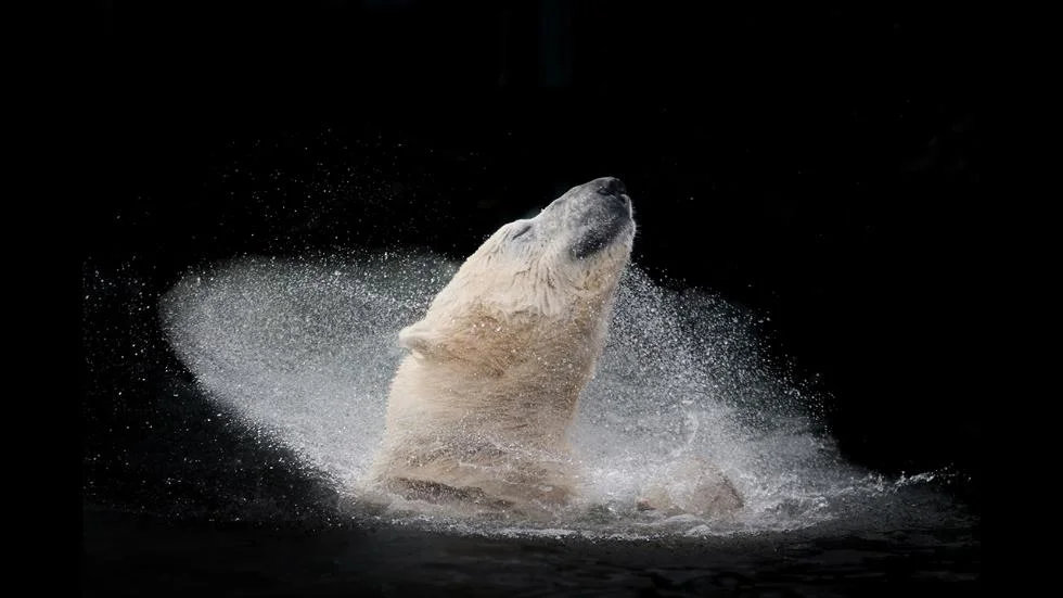 Photo credit: Michaela Smidova/ 2016 Sony World Photography Awards