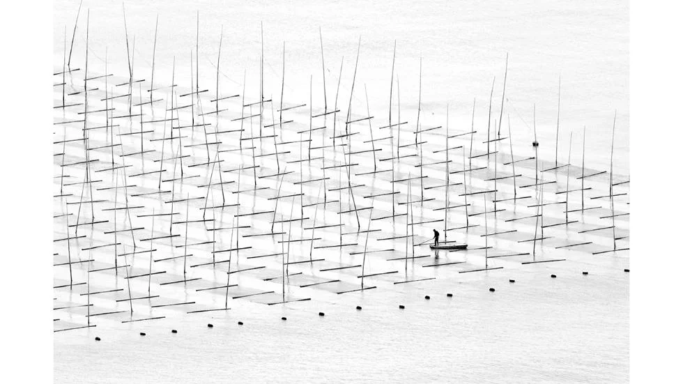 Photo credit: Tugo Cheng/2016 Sony World Photography Awards