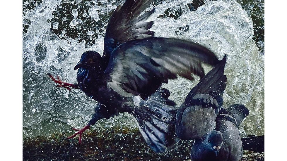 Photo credit: Chaiyot Chanyam/2016 Sony World Photography Awards