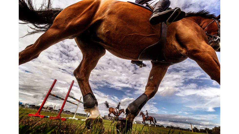 Photo credit: Phillip Joyce/2016 Sony World Photography Awards