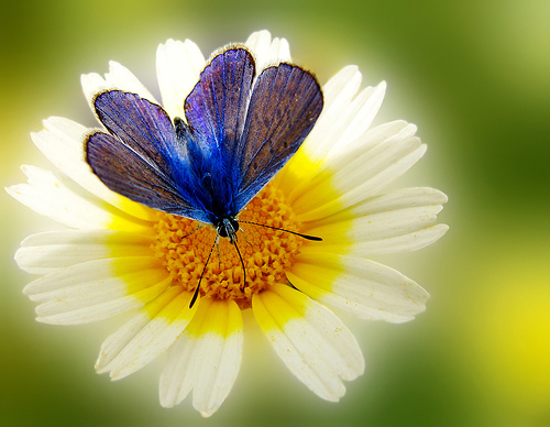 Photo credit: Esther via flickr