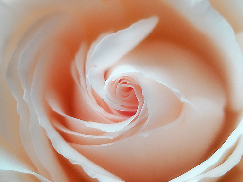 Photo credit: Gary via flickr
