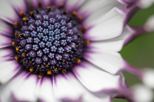 Photo credit: Rosemary via flickr