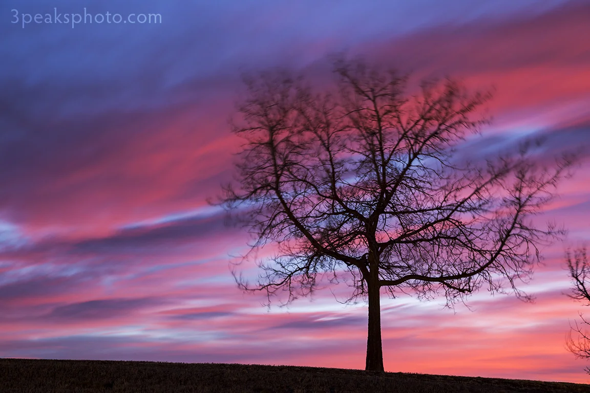 Taken on January 28, 2015. 