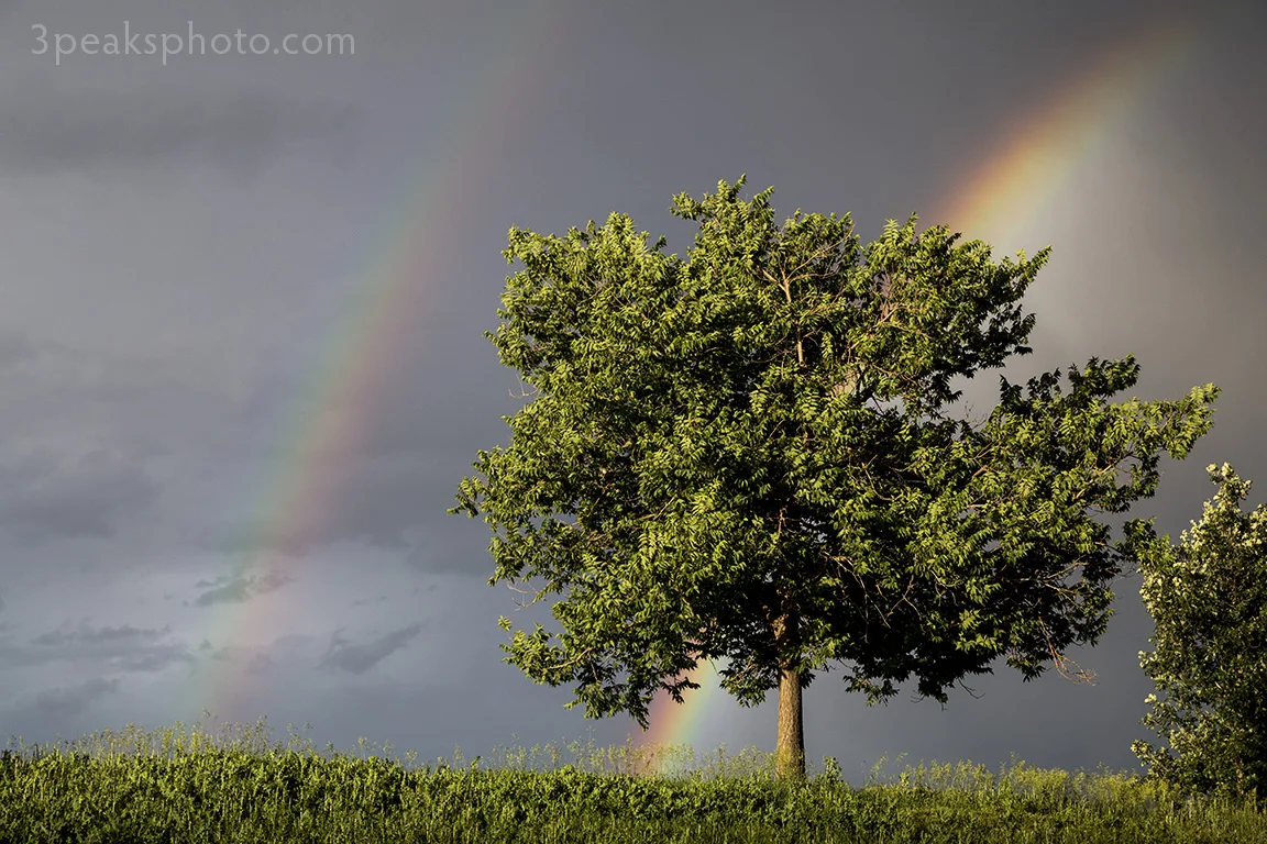 Taken on July 16, 2015. 