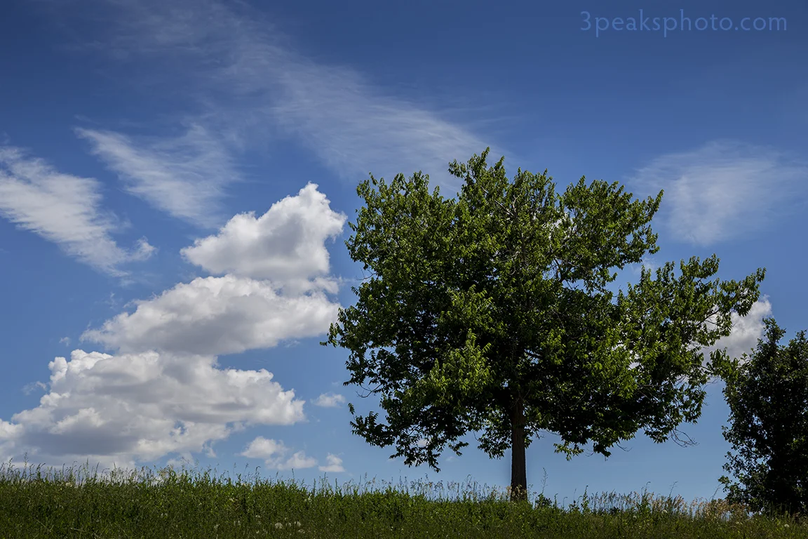 Taken on July 30, 2015. 