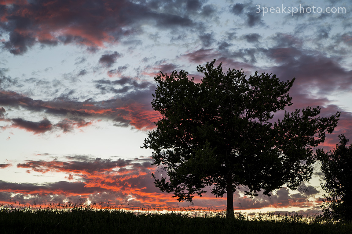 Taken on August 15, 2015. 