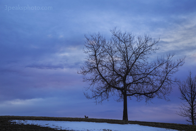 Taken on December 20, 2015. 