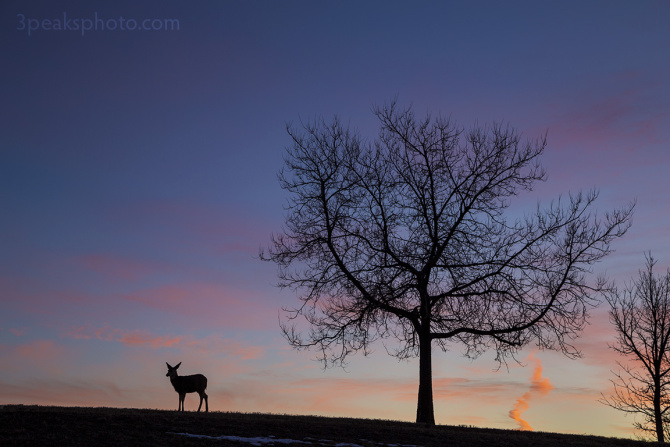 Taken on January 6, 2016. 