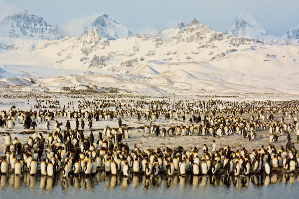Title: Peaks & Penguins in Antarctic Sunrise, Photo credit: Shivesh R.