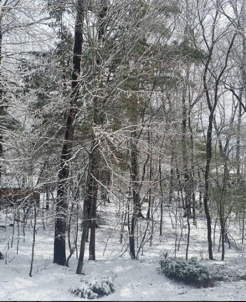 Snow in Boston