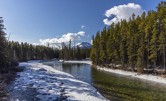 Bow River vista, Banff National Park
