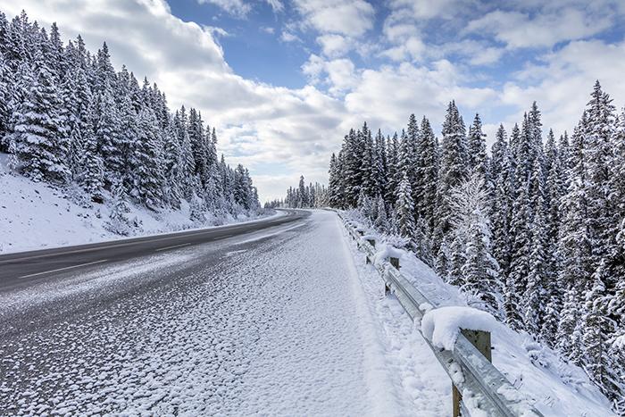 Spring In Banff National Park