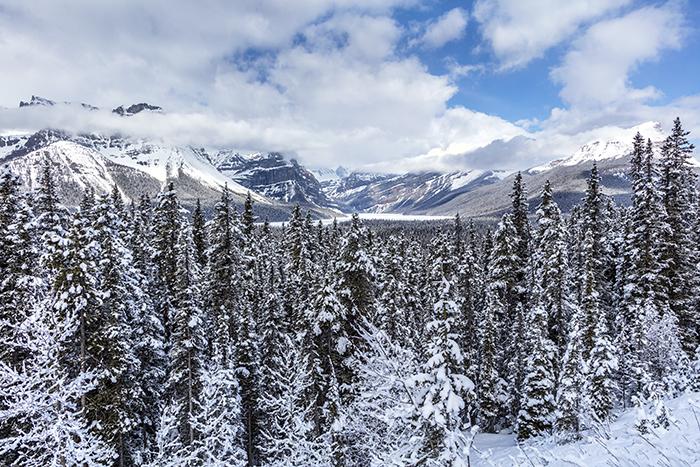 Spring vista along the Icefield Parkway, Banff National Park