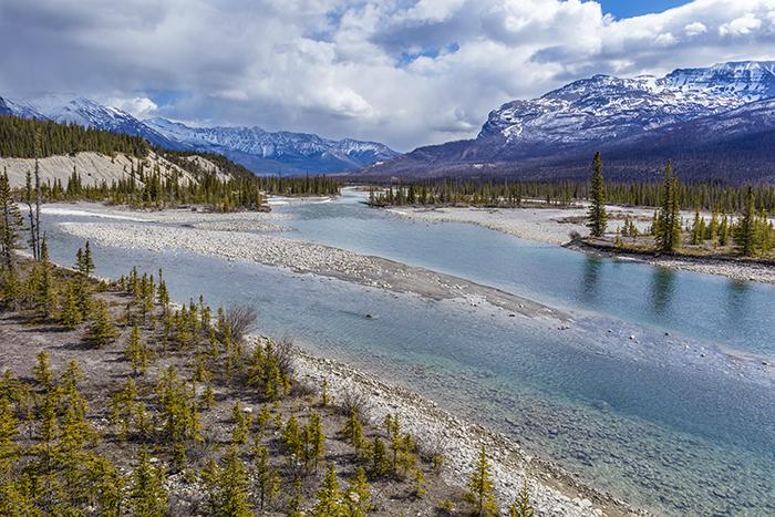 The view looking toward the northeast at Saskatchewan Crossing, Banff National Park