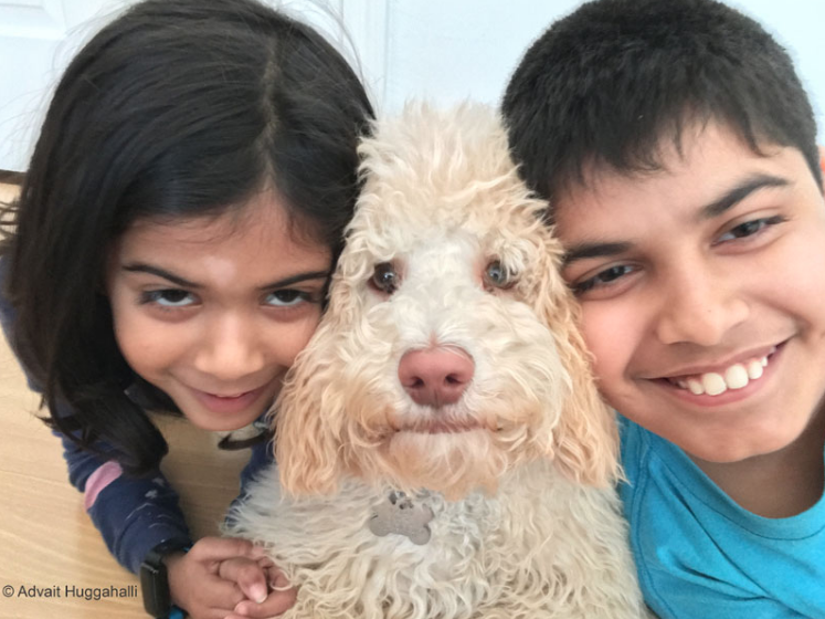 2nd Place Winner, Advait Huggahalli, USA. “Puppy Sandwich”