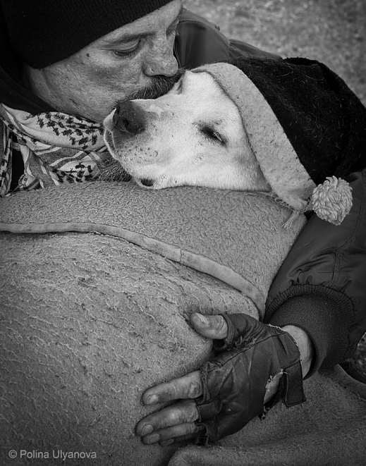 3rd Place Winner, Polina Ulyanova, USA. “Home is where the dog is”