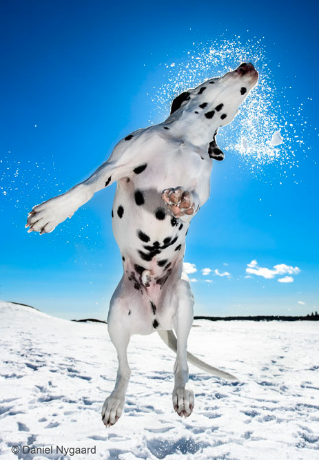3rd Place Winner, Daniel Nygaard, Sweden. “Lennon”