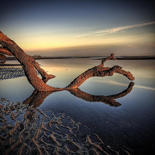 "Strange" by Chris Lofqvist