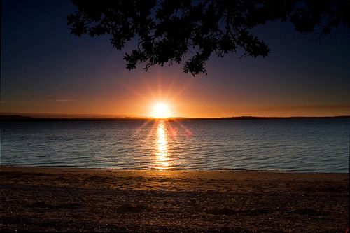 "Beach Sunset" by Chris Gin