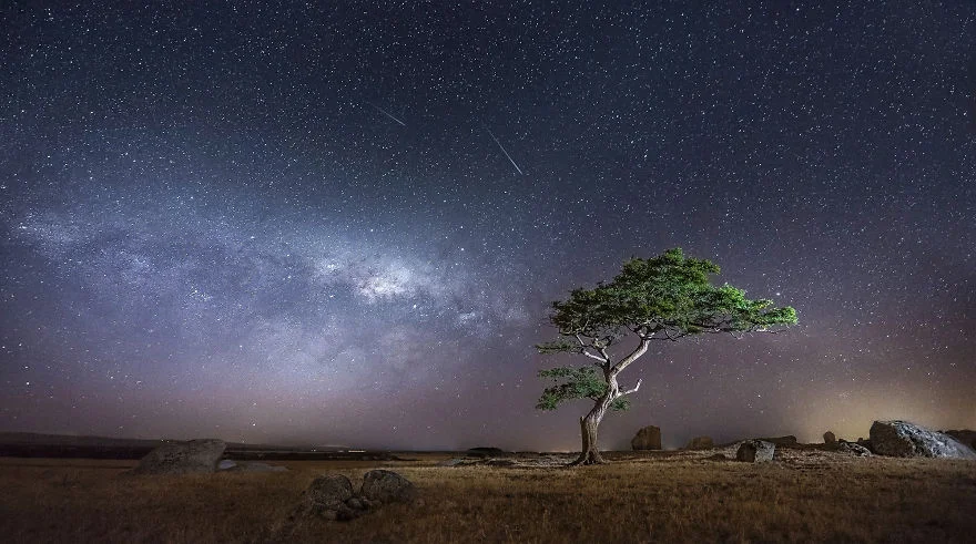 Photo credit: Jonathan Sander via Bored Panda