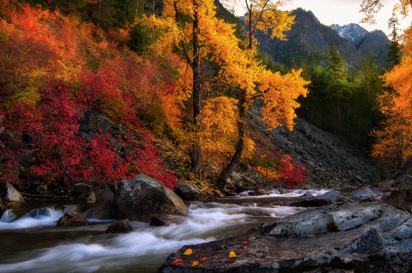 Photo credit: Candace Dyar via 500px