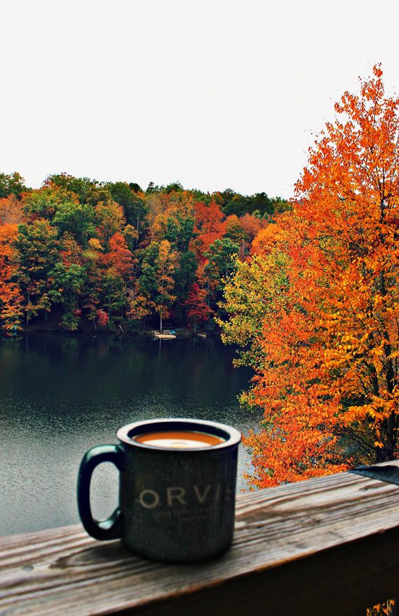 Photo credit: simplytaralynn.com