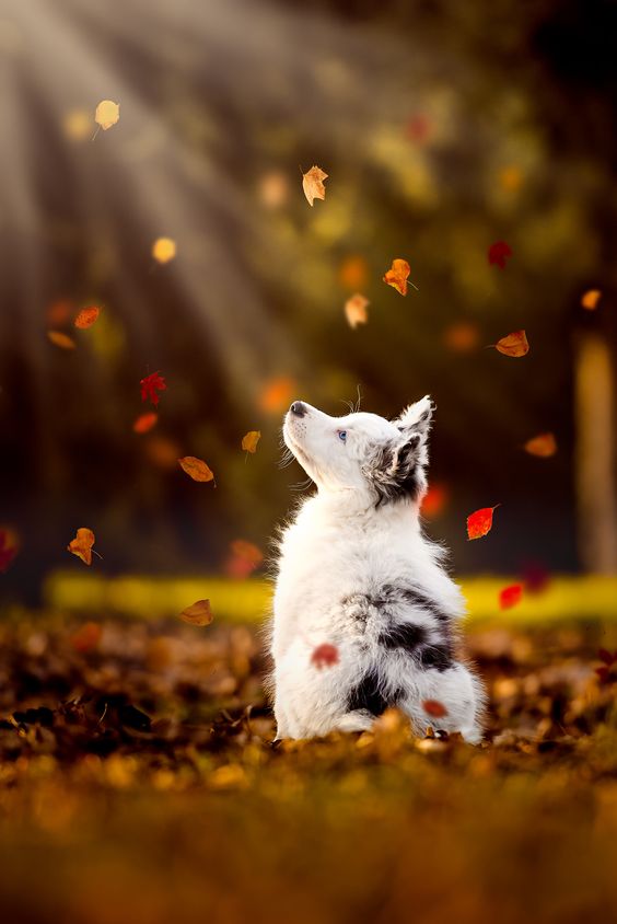 Photo credit: Cecilia Zuccherato via 500px