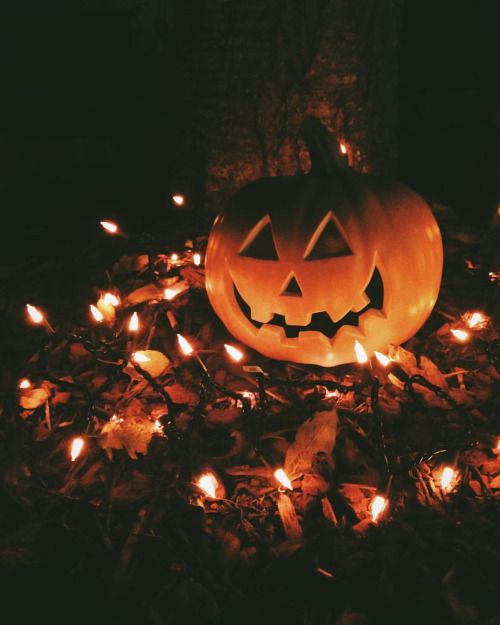 Photo credit: My Picture Heaven via Tumblr