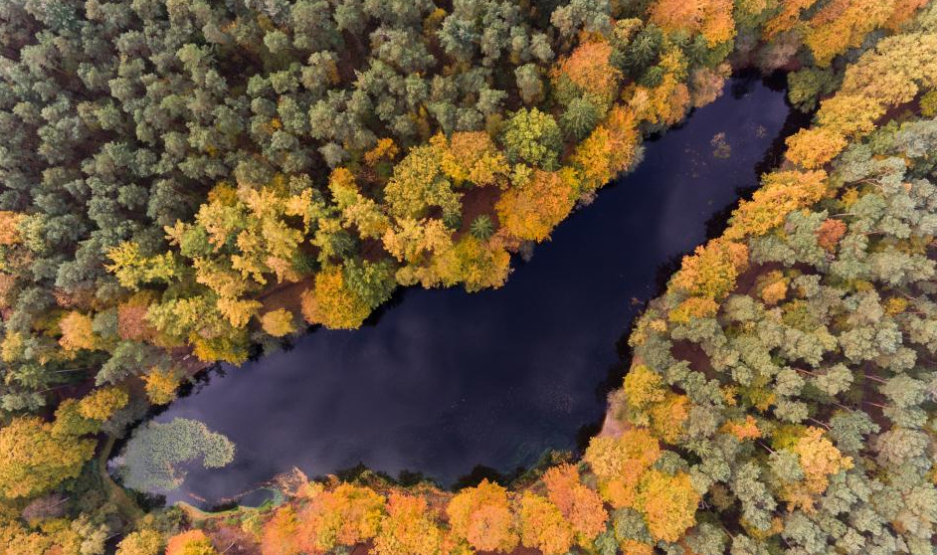 Colorful trees surround a body of water in Kloevensteen Forest, Hamburg-Rissen, Germany. Photo credit: Rainer