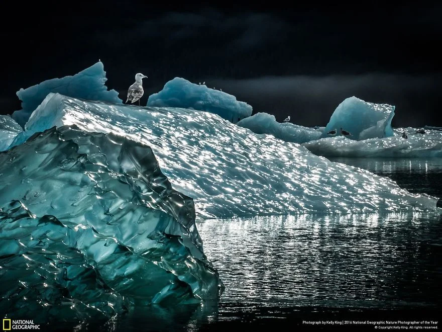 "Icescape." Photo credit: Samira Qadir