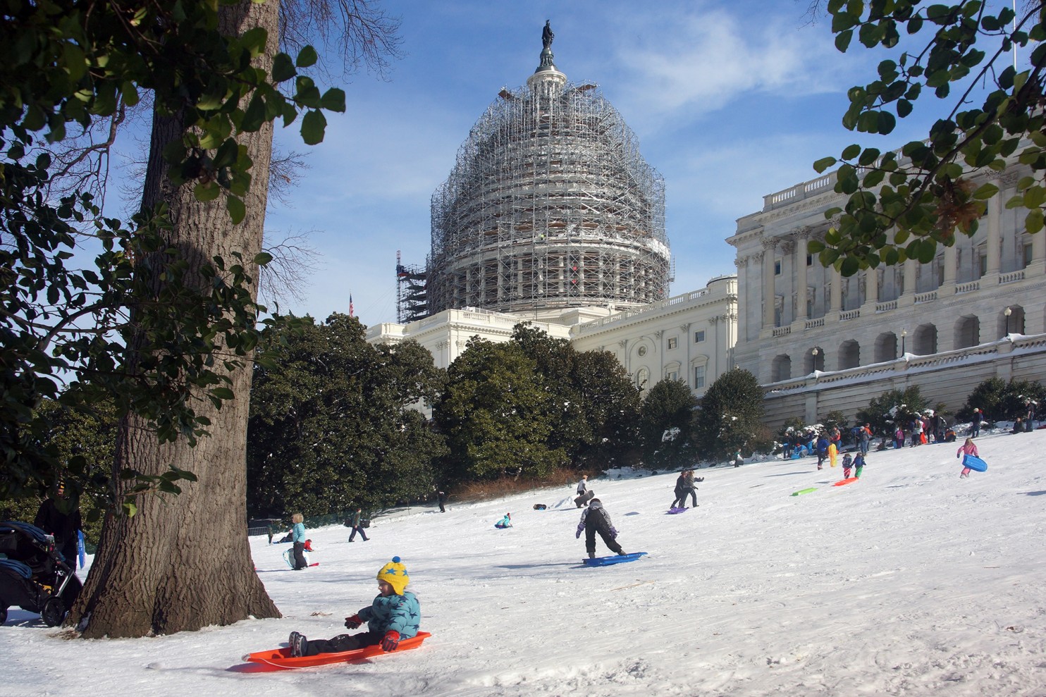 Sledding at the Capitol after Snowzilla, January 25, 2016. 
