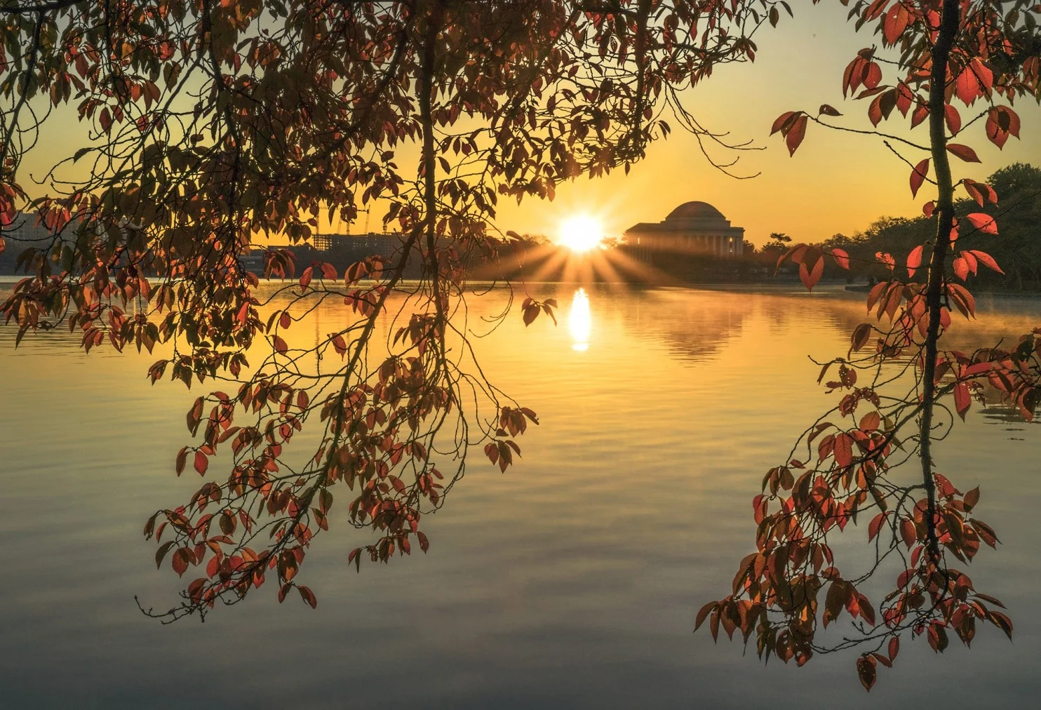 Autumn sunrise at the Tidal Basin with the Jefferson Memorial, November 13, 2016. Photo credit: Kevin Ambrose