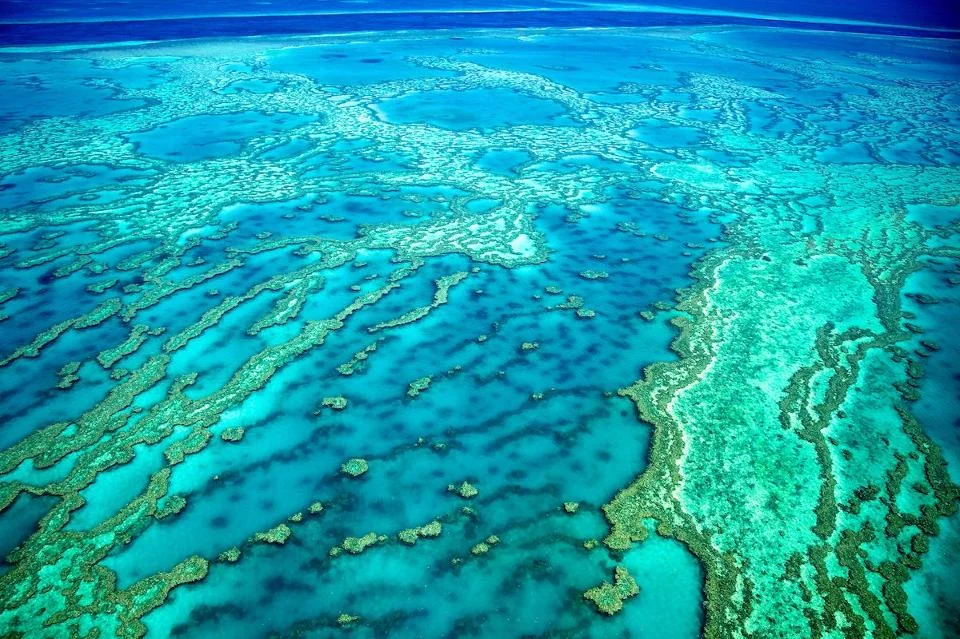 Great Barrier Reef aerial shot. Photo credit: iStock via Forbes