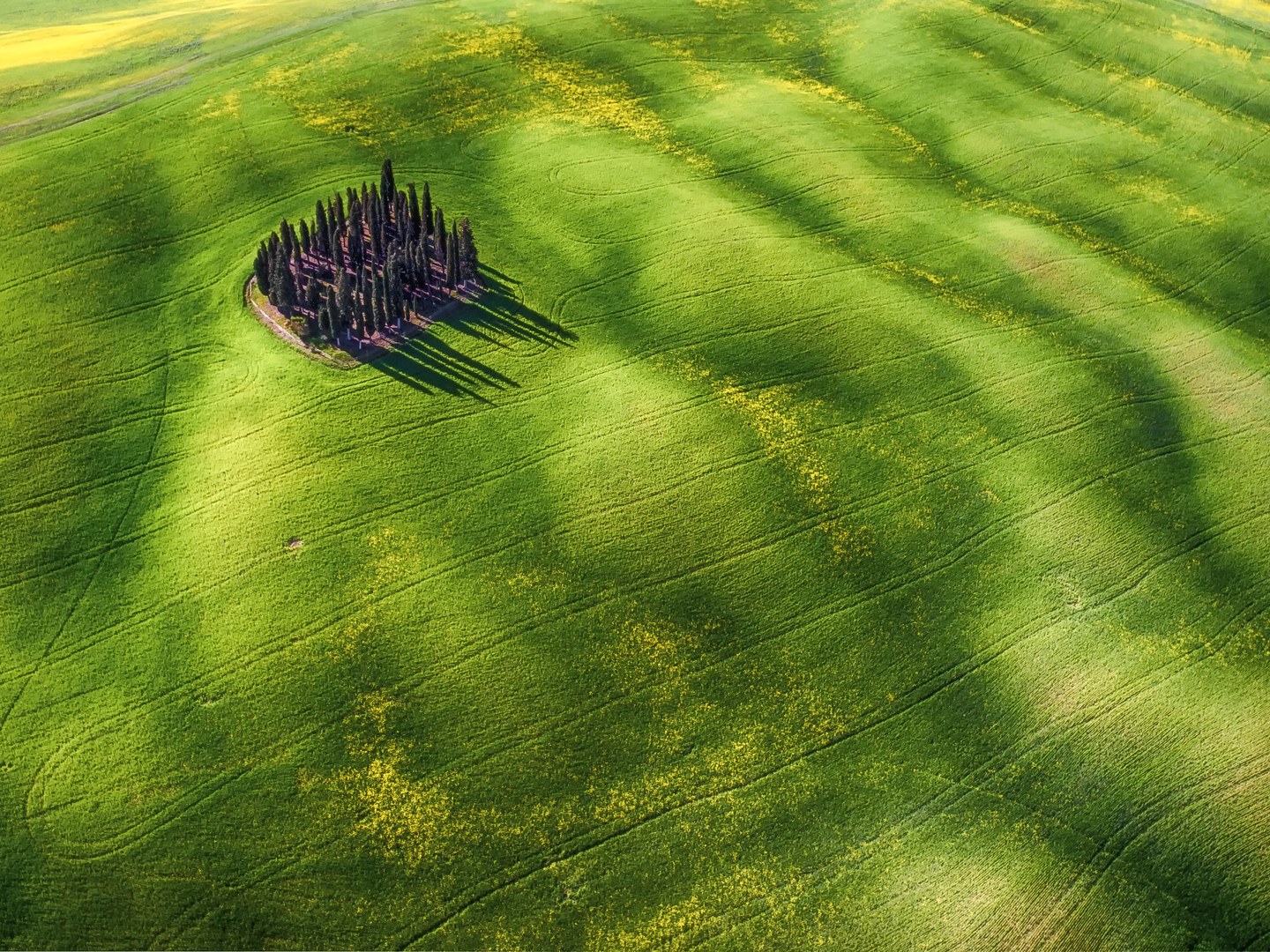 Silver medal in the enthusiast beauty category. "Green Waves" shot in the countryside of Siena, Italy. Photo by Mauro Pagliai. 