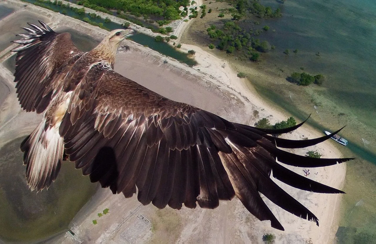 Bali Barat National Park, Indonesia. Photo by Capungaero, taken at 492 feet.