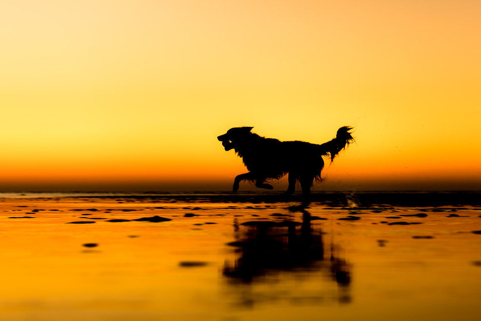 Rescue Category: 2nd place: Martin Tosh