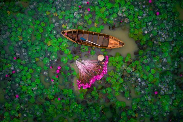 2nd prize. Waterlily by user helios1412