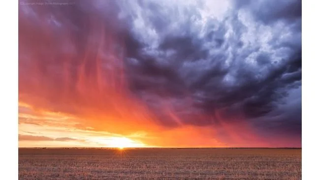 Captured on Mandiga Road between Koorda and Bencubbin. it passed over right on sunset creating this gorgeous backlit virga rain. Picture: Kylie Gee - Indigo Storm Photography