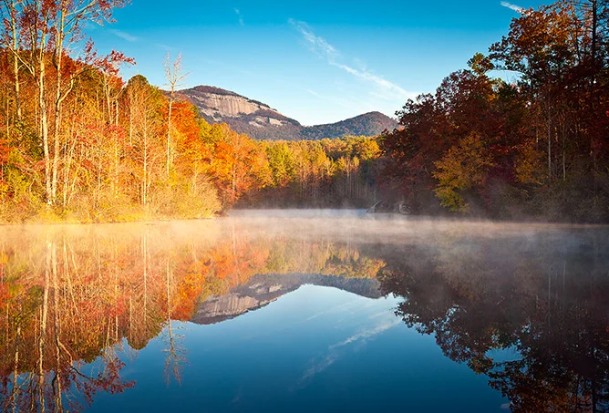 Photo credit: Dave Allen Photography