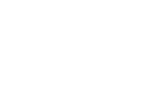 Royal Square District