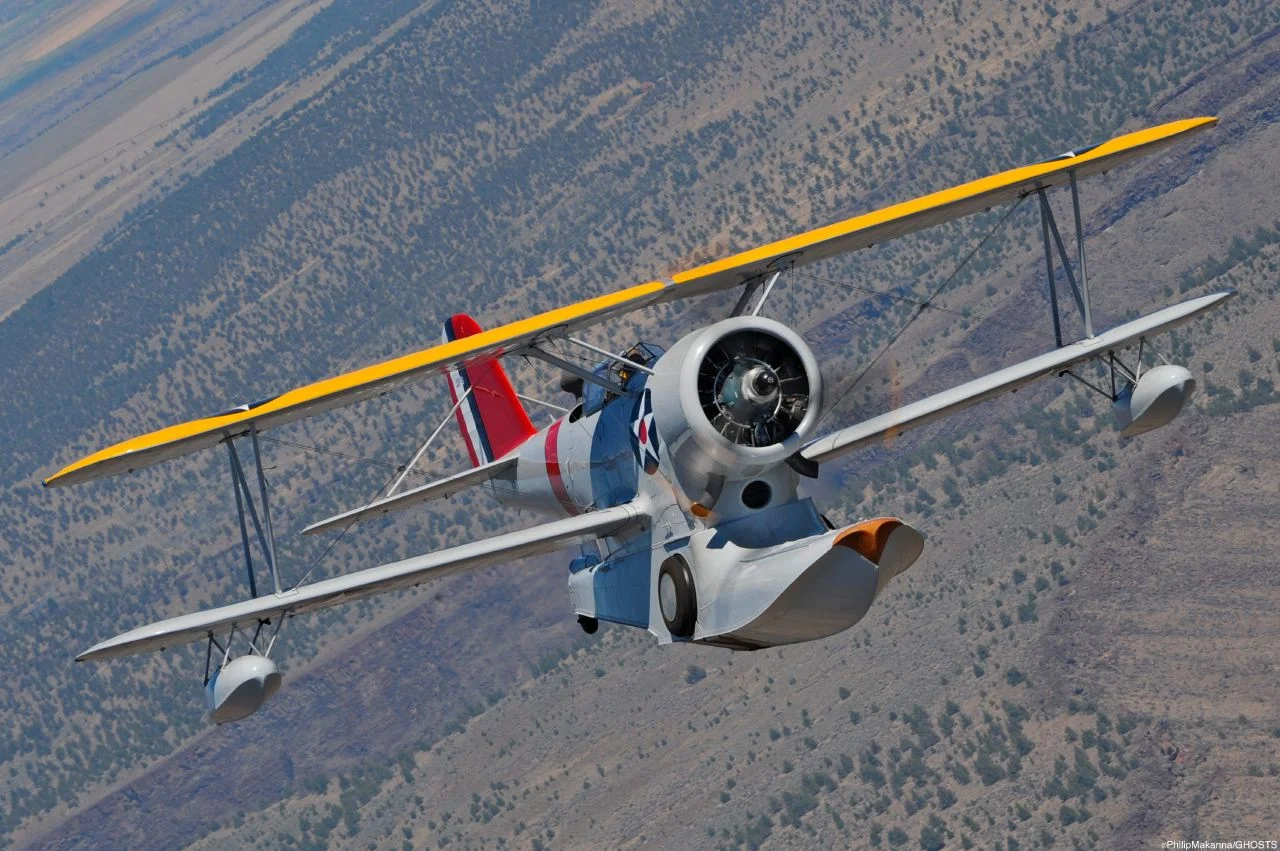 Duck at you PM jpeg.jpeg