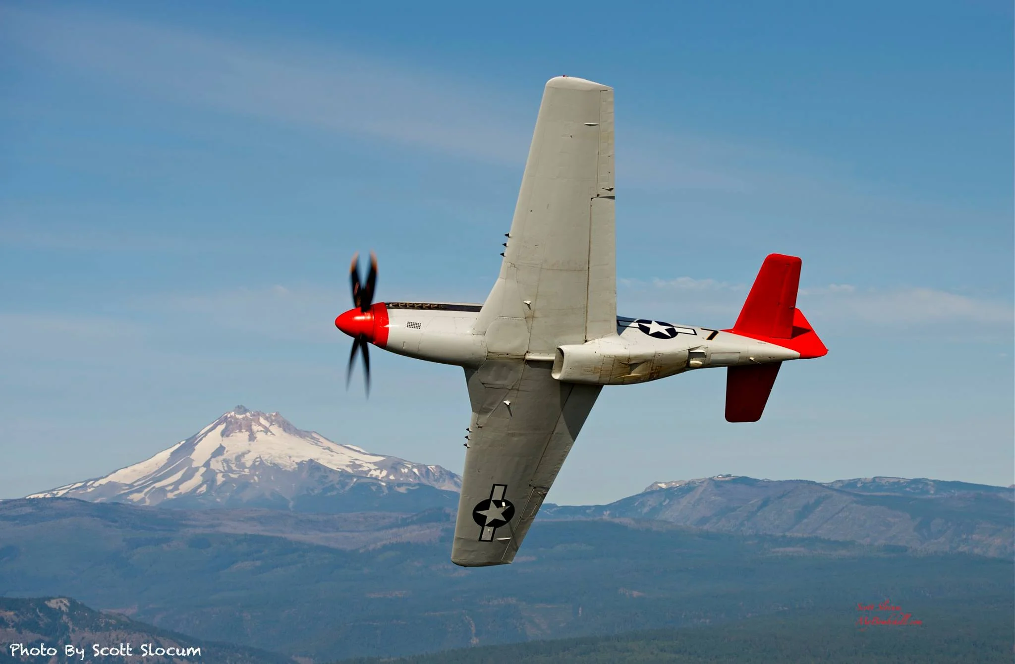 P-51 under.jpg